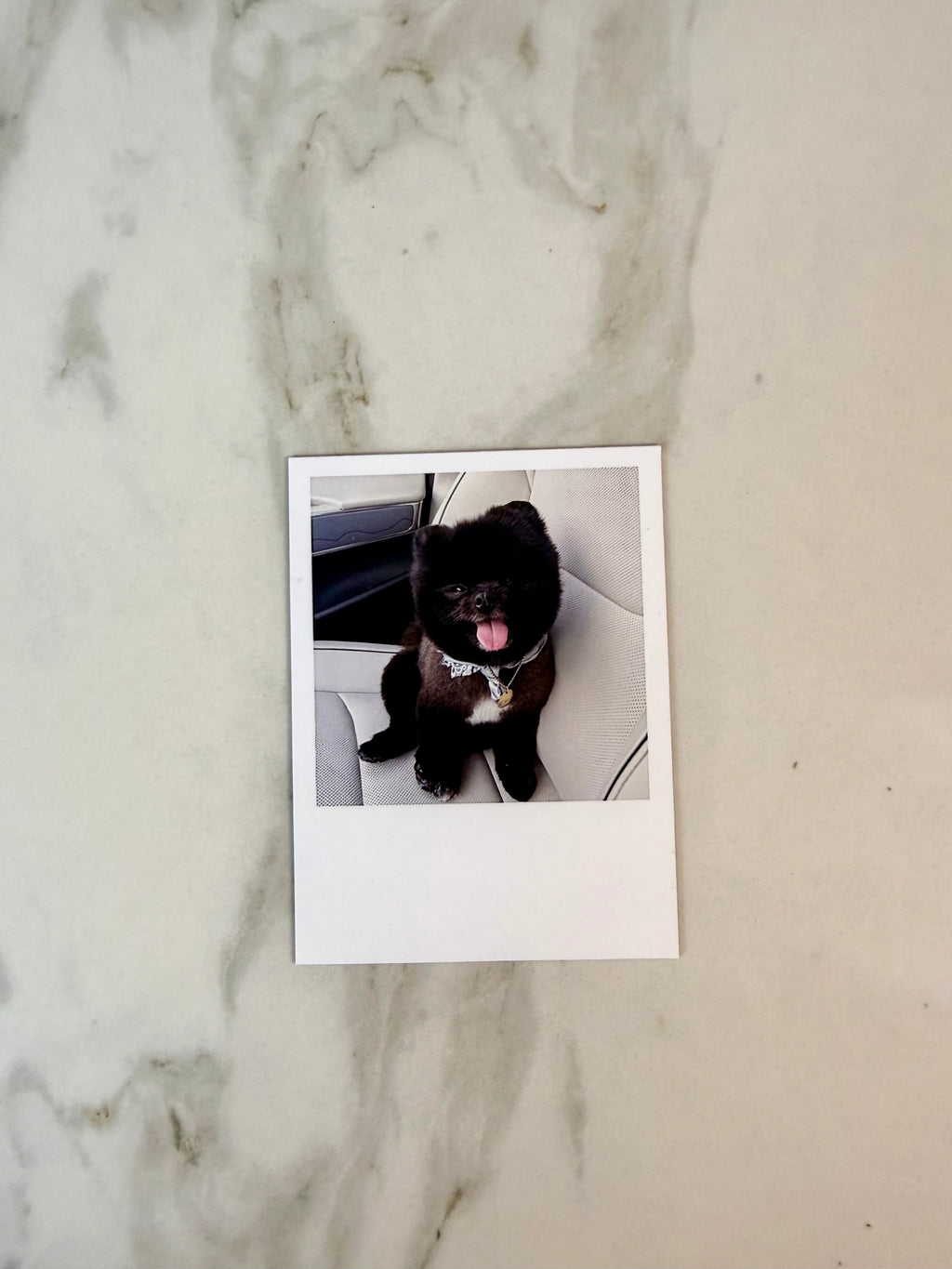 Custom Flat Magnet Prints