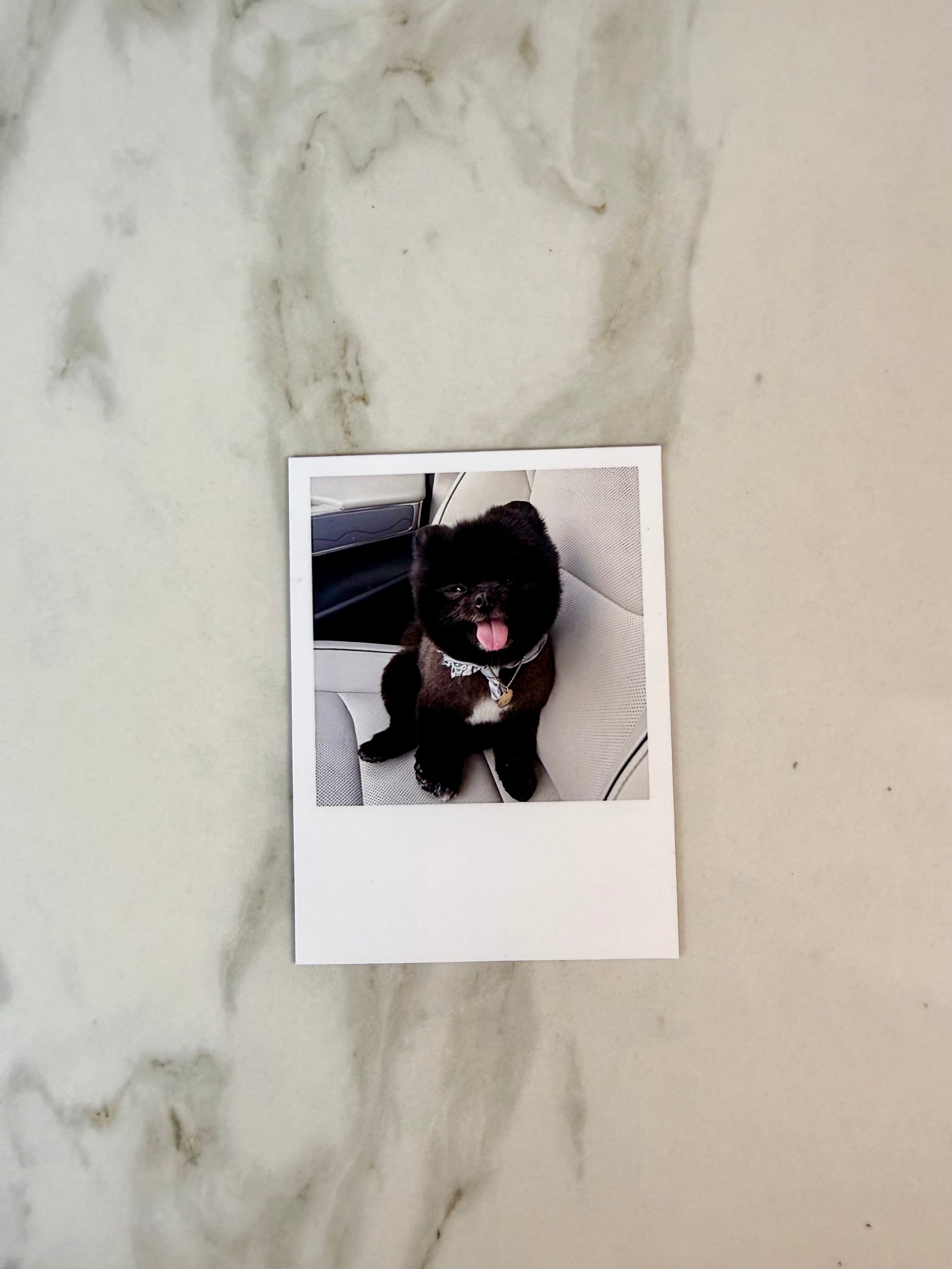 Custom Flat Magnet Prints