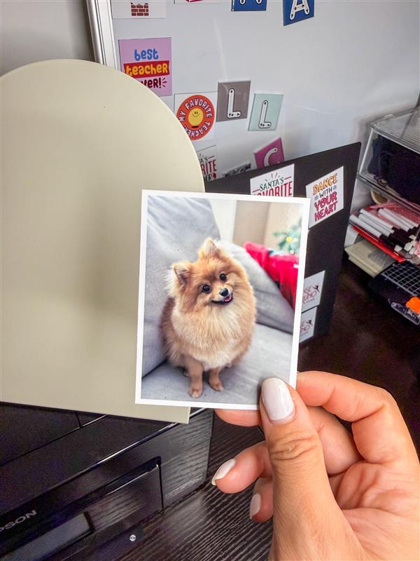 Custom Flat Magnet Prints